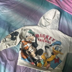 Mickey and friends hoodie